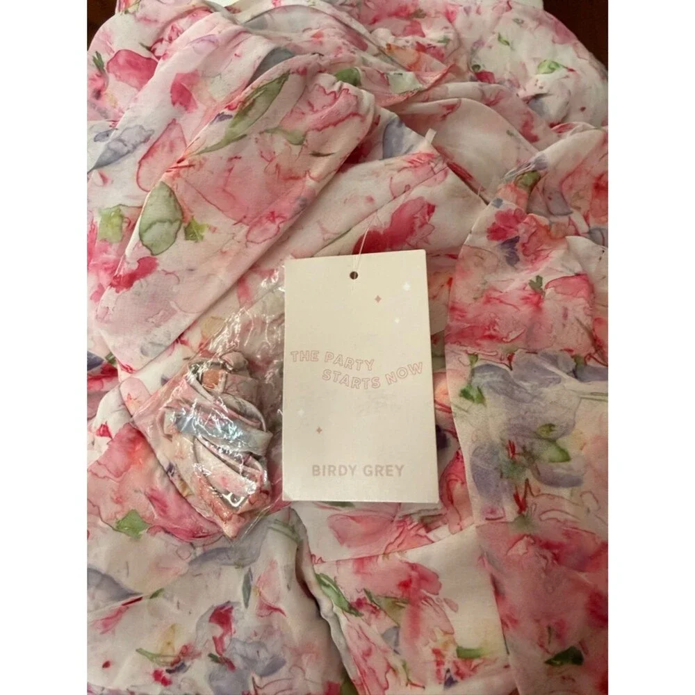 NWT Birdy Grey Mira Dress in Chiffon Pink Falling Petals